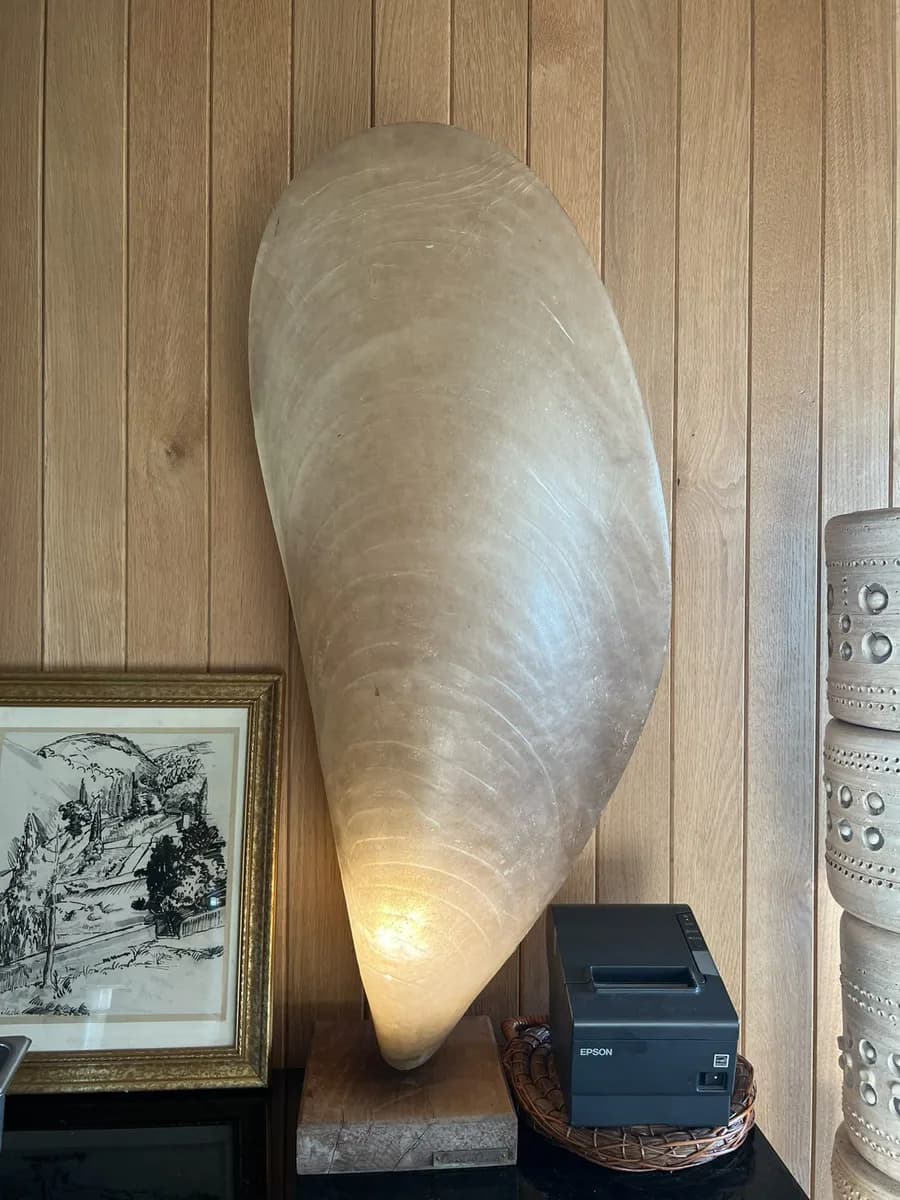 Tall shell-shaped lamp glowing from the base, on a wooden block against oak panelling